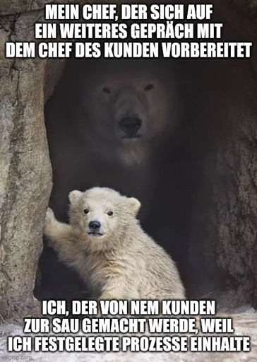 Meme Bild

Im Vordergrund ein Baby-Eisbär. Im Hintergrund ein Ausgewachsener Eisbär.
Text unten: Ich, der von einem Kunden zur Sau gemacht werde, weil ich festgelegte Prozesse einhalte. Oben: Mein Chef, der sich auf ein Gespräch mit dem Chef des Kunden vorbereitet