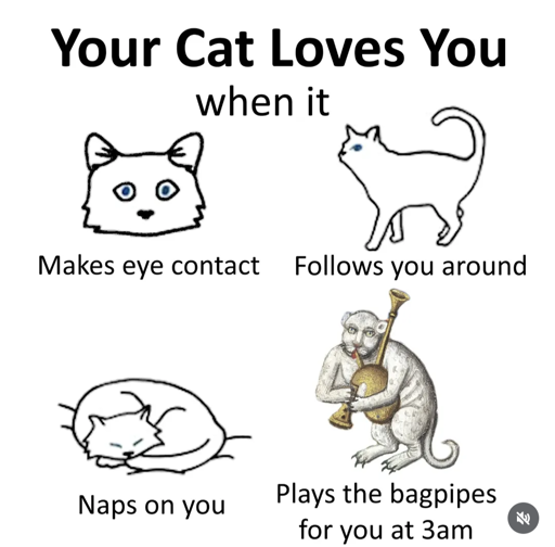 Your Cat Loves You when it Makes eye contact, Follows you around, Naps on you, Plays the bagpipes for you at 3am. The image is captioned with the previous sentence. Each example of what a cat does when it loves you is accompanied by a cat illustration. The first 3 are hand-drawn in the same style. The bagpipe one has an image in a different style, painted and possibly medieval.