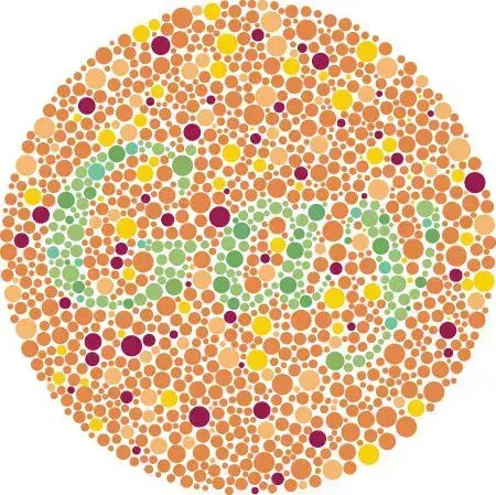 An Ishihara color vision test for detection of red-greeen color deficiencies depicting a green word “gay” that will not be differentiated from the tan dots for those with the green-red deficiency